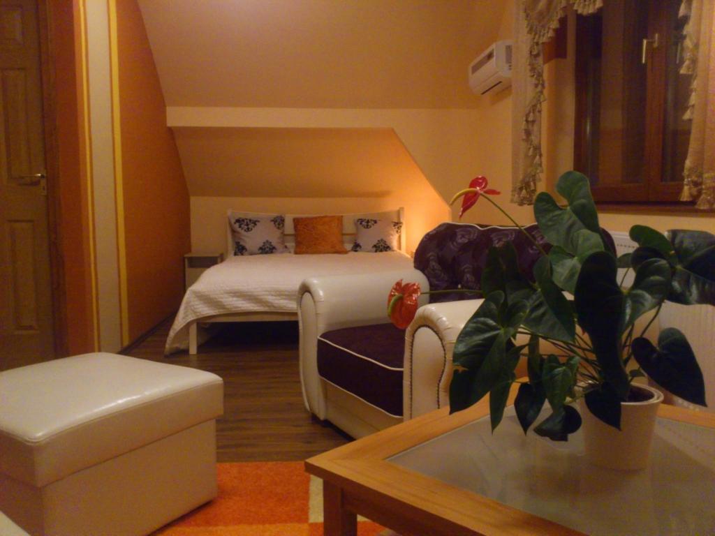 Szilvia Vendeghaz Korosszakal Room photo